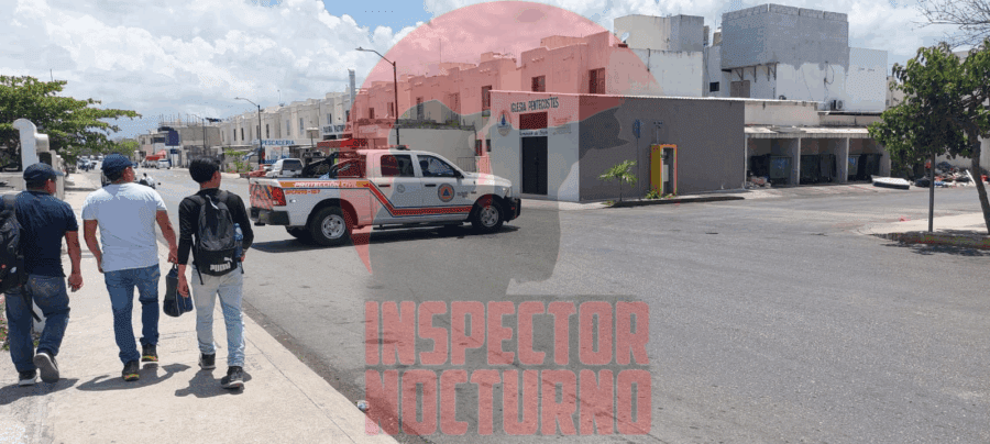 ABEJAS ATACAN A VECINOS DE VILLAS DEL SOL - Inspector Nocturno